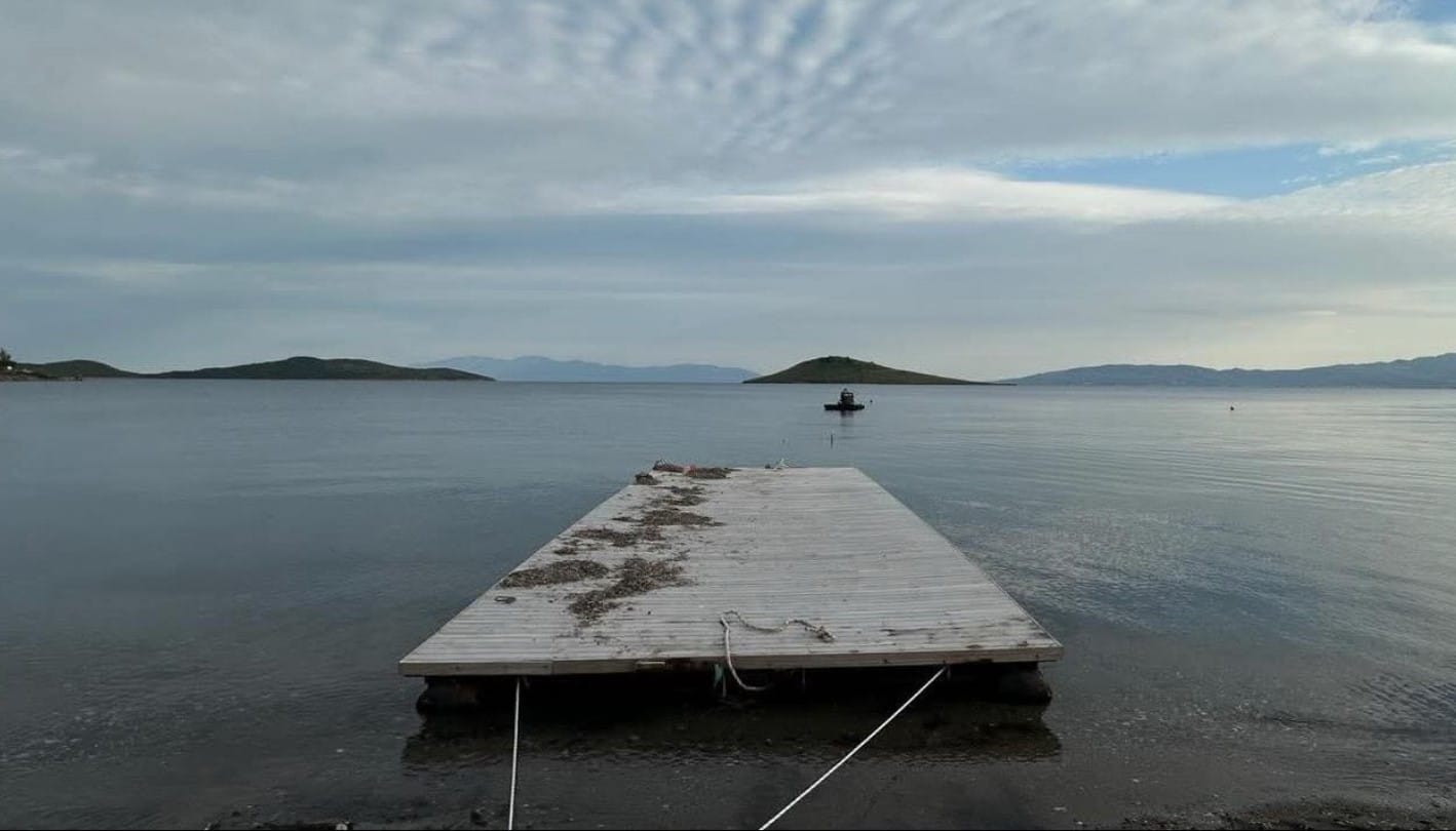 Deniz çayırı temizlerken yakalandılar
