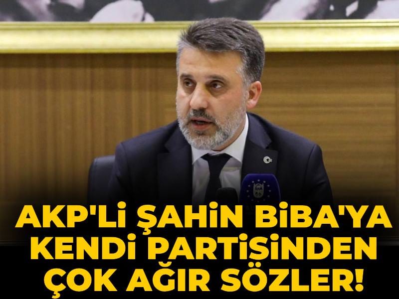 AKP'li Şahin Biba'ya kendi partisinden çok ağır sözler! 'Aymazlıktır'