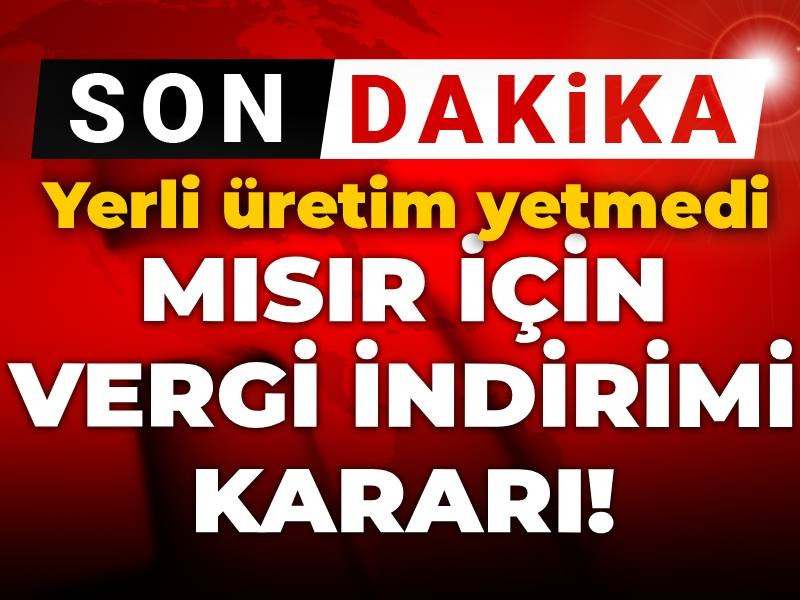 Son dakika | Mısırda ithalat vergisi düşürüldü