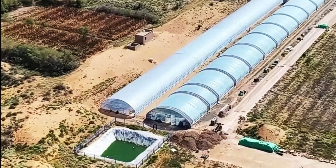 Çöl kumunu toprağa dönüştürüyor: 10 ayda verim alıyorlar