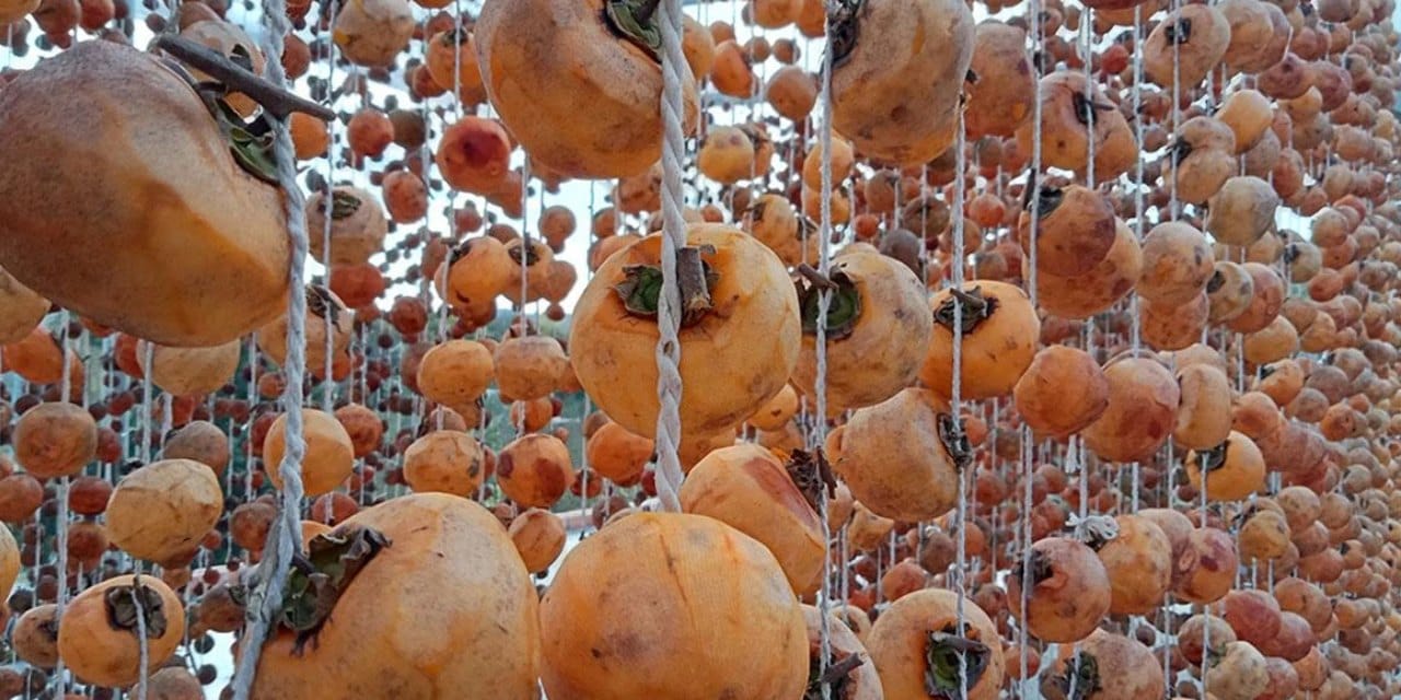 Türkiye’nin formülü komşuda tuttu: Raf ömrü uza uza bitmiyor