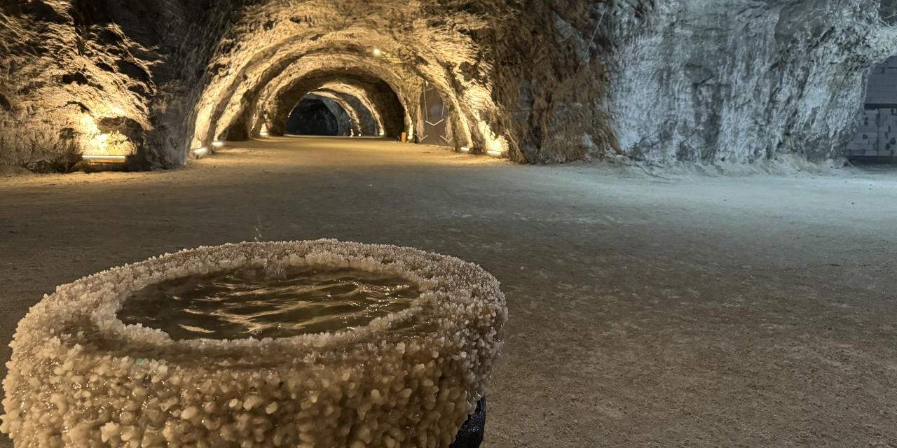 TCDD özel tren kaldırdı: Akın akın görmeye gittiler