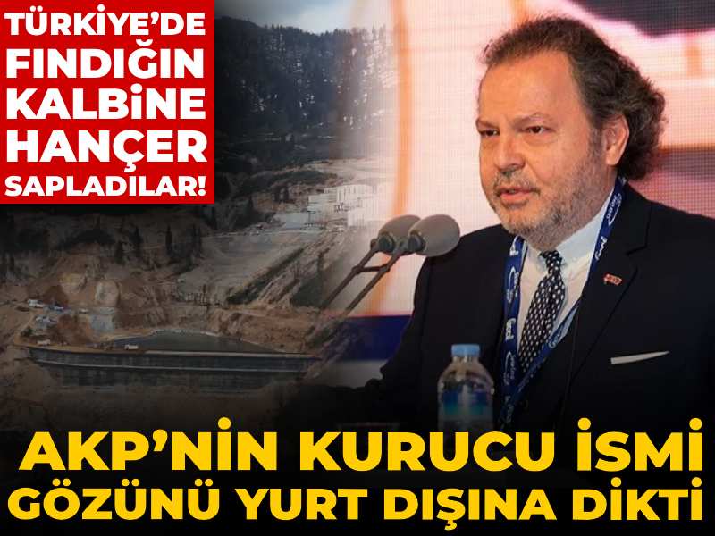 Türkiye’de fındığın kalbine hançer sapladılar! AKP’nin kurucu ismi gözünü yurt dışına dikti