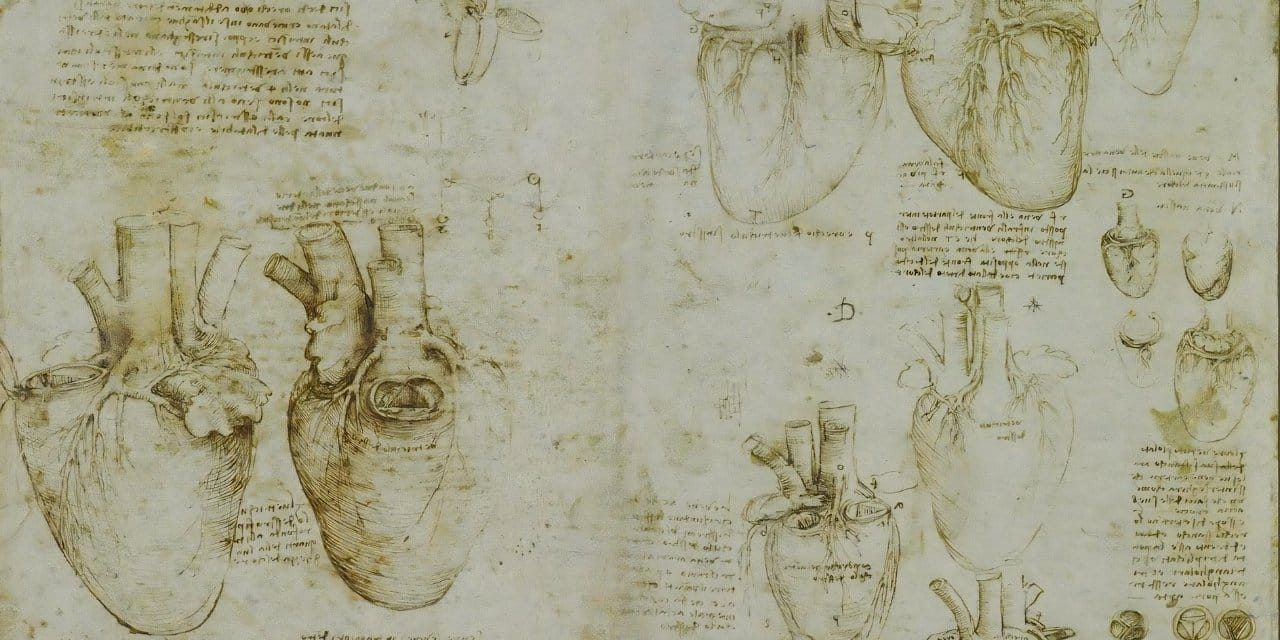 Da Vinci'nin mavi kodu: 500 yıllık keşfi kanıtlamak için 18 bin kişi gerekti