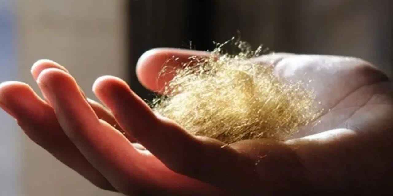 Işıltısı hiç sönmüyor! Mücevher değil: Tek bir parçası 1000 altın ediyor