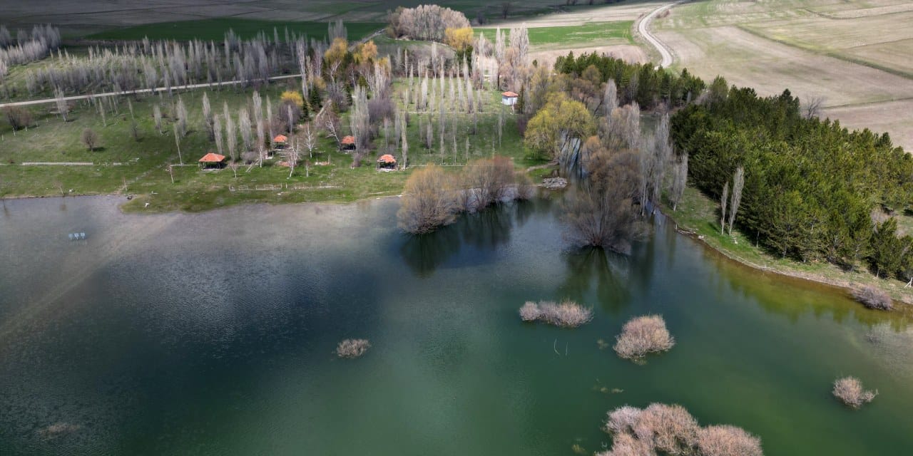 Sivas'ta 10 yıllık kuraklık çilesi bitti: 4 baraj tamamen doldu