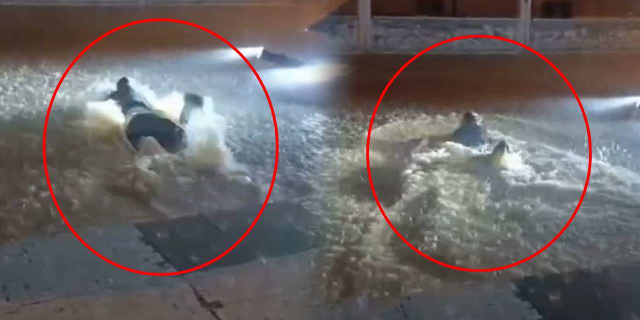 Mardin’de akılalmaz anlar! Göle dönen sokakta yüzdü