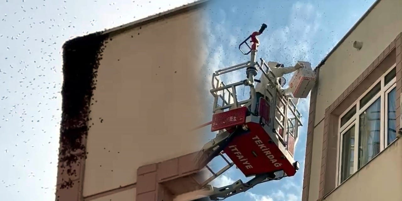 Pazar yerinde 'arı' paniği! Yaya ve araç trafiği durdu