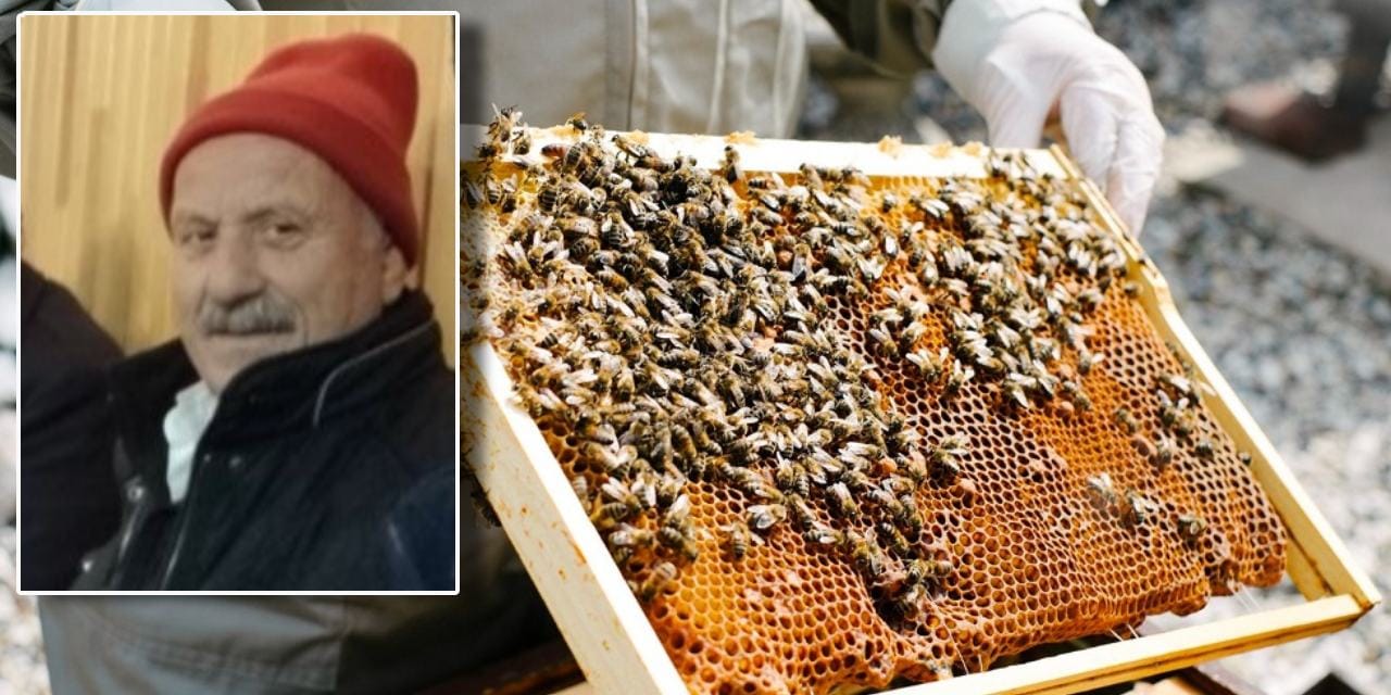 Kovanların bakımını yaparken boğazından arı soktu: Kaldırıldığı hastanede yaşamını yitirdi