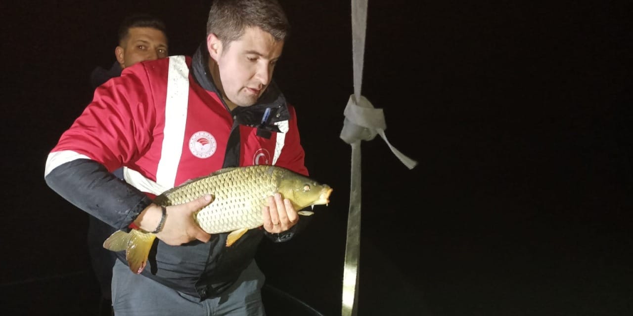 Barajda kaçak avcı tuzağı: 600 metrelik ağdan 60 kilo sazan çıktı!