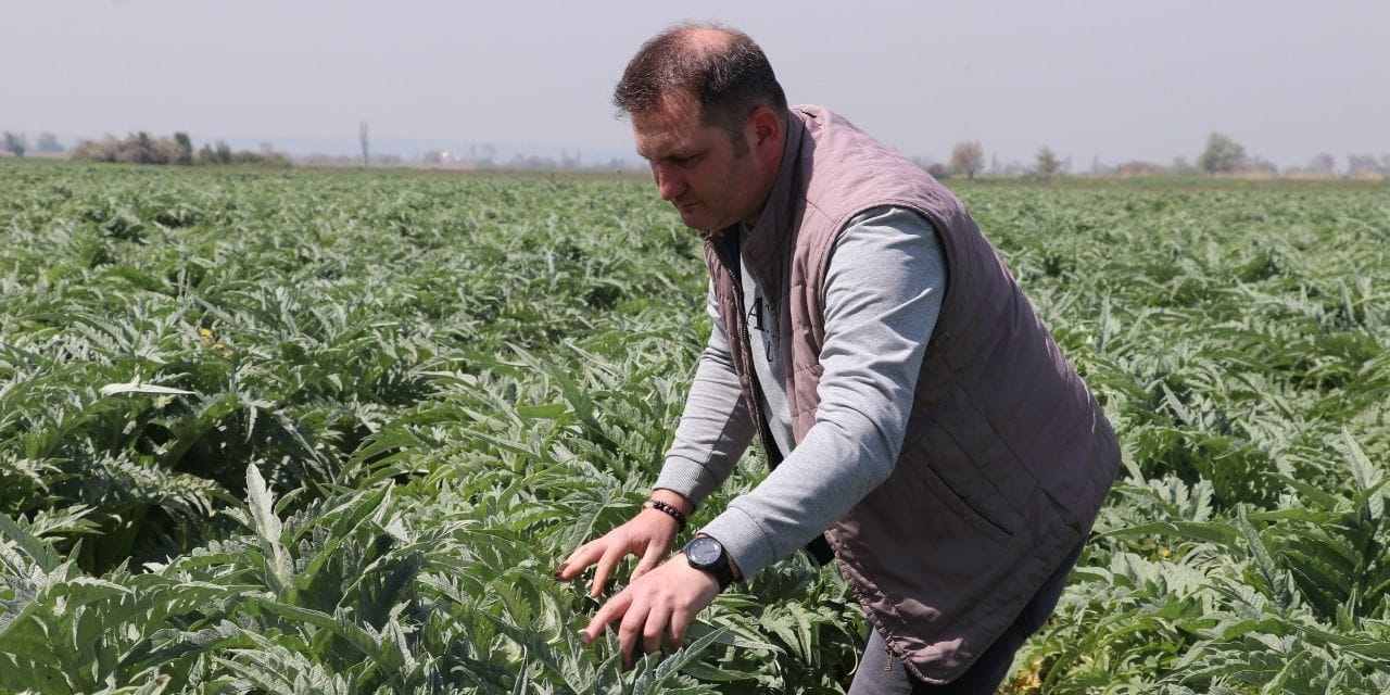 Hafta içi masabaşı, hafta sonu tarla: 40 dönümle başladı, 165 dönüme ulaştı