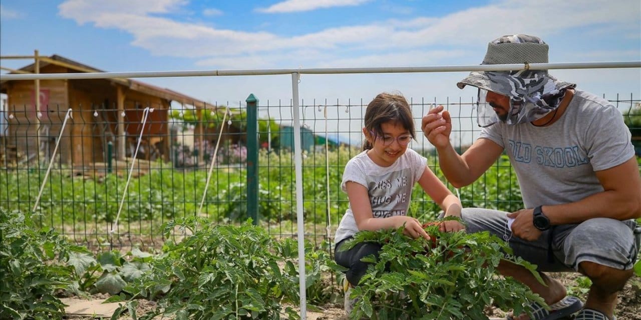Nisan bitmeden ekin, bütün yaz yiyin: 20 günde sebze veriyor