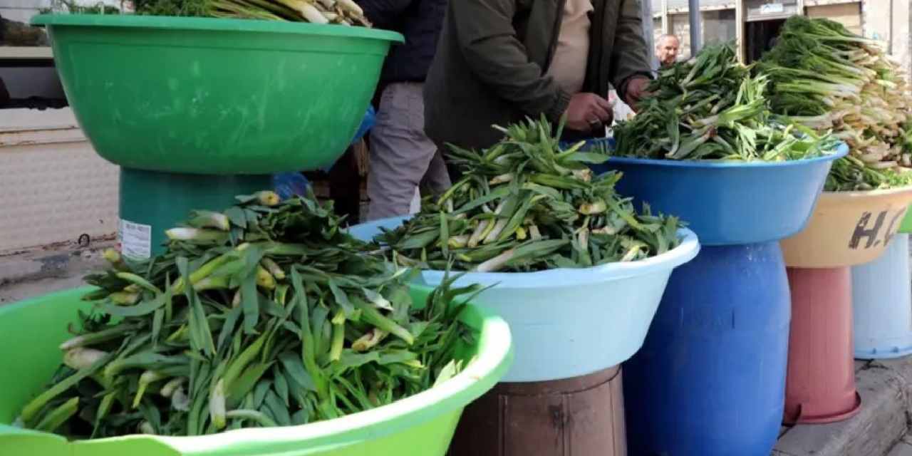 Dağlar ve yaylalarda doğal olarak yetişiyor! Şifalı otların kilosu 100 TL'den satılıyor