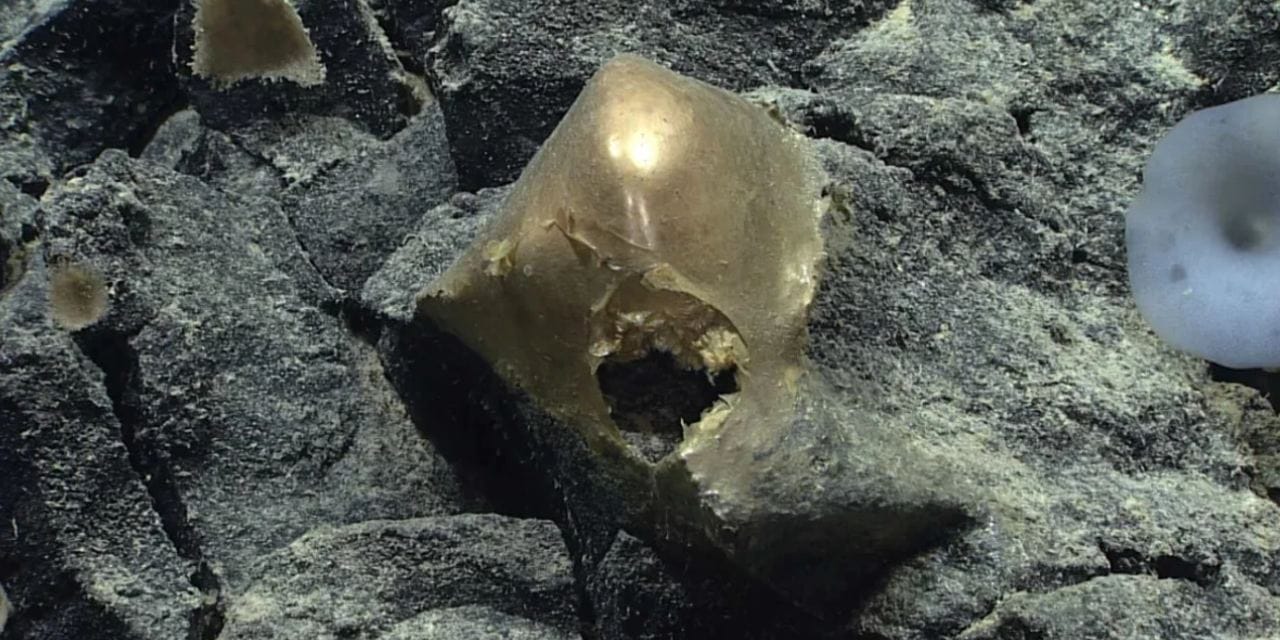 3250 metre derinlikteki altın kürenin sırrı tam 3 yıl sonra çözüldü