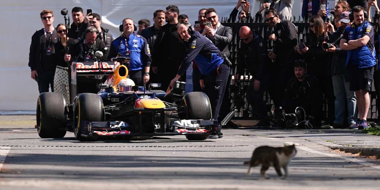İstanbul'u dolaşan Formula 1 aracının startını kedi verdi!
