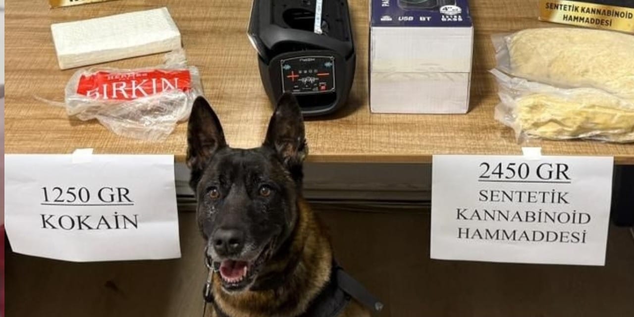 Narkotik köpeği buldu: Araçtan 3 kilo 700 gram uyuşturucu çıktı!