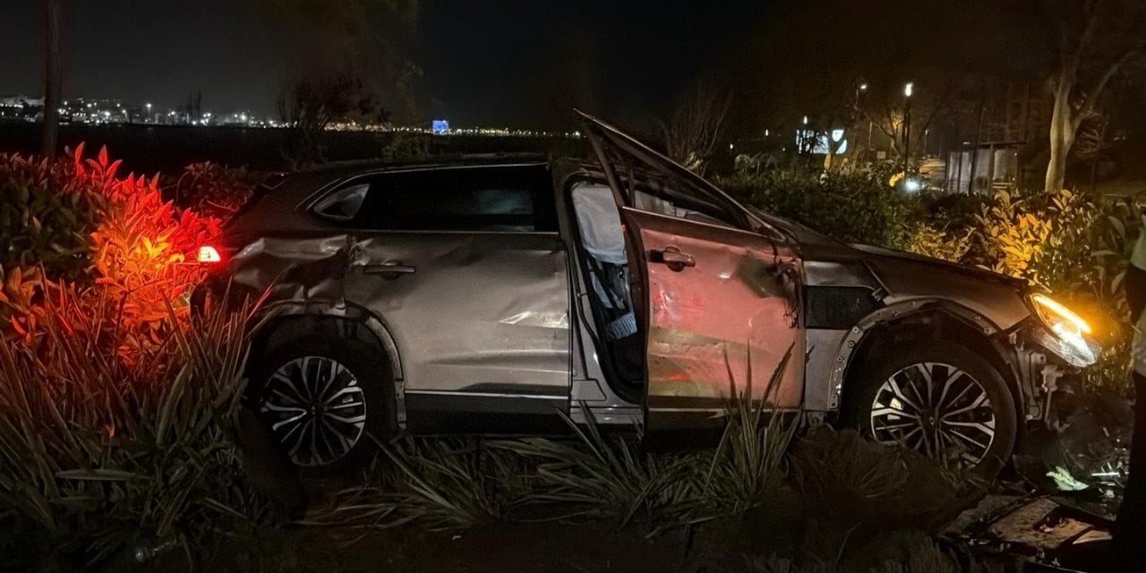 Kennedy Caddesi'nde facianın eşiği: Ağaçları söküp çalılıklara daldı