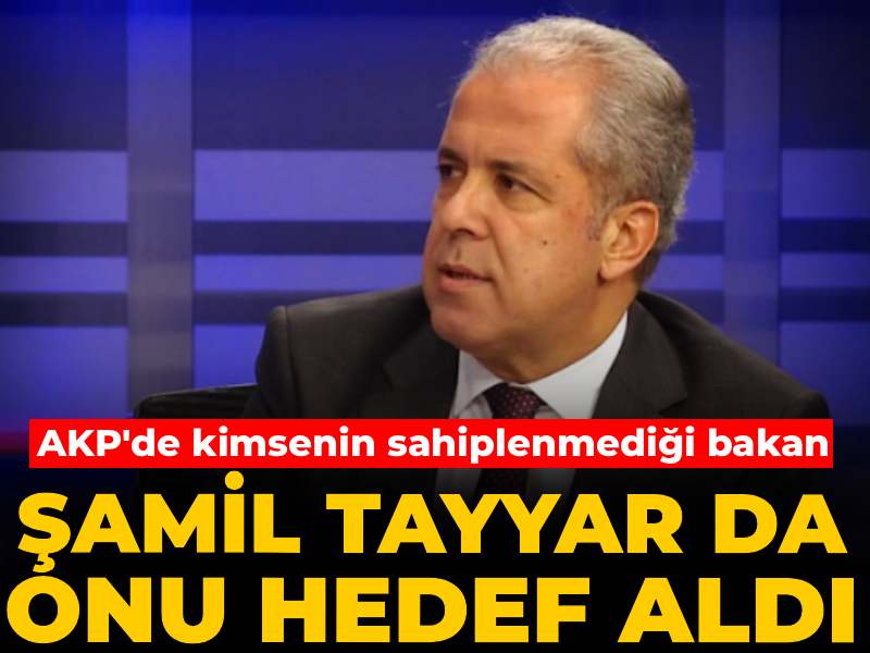 AKP'de kimsenin sahiplenmediği bakanı Şamil Tayyar da hedef aldı
