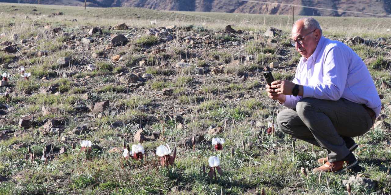 'Doğanın gelini' ortaya çıktı! Gören durup fotoğraf çekiyor