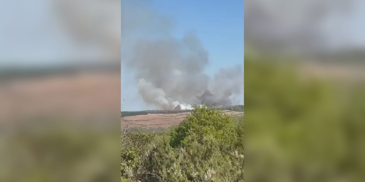 Son Dakika | Beykoz'da orman yangını