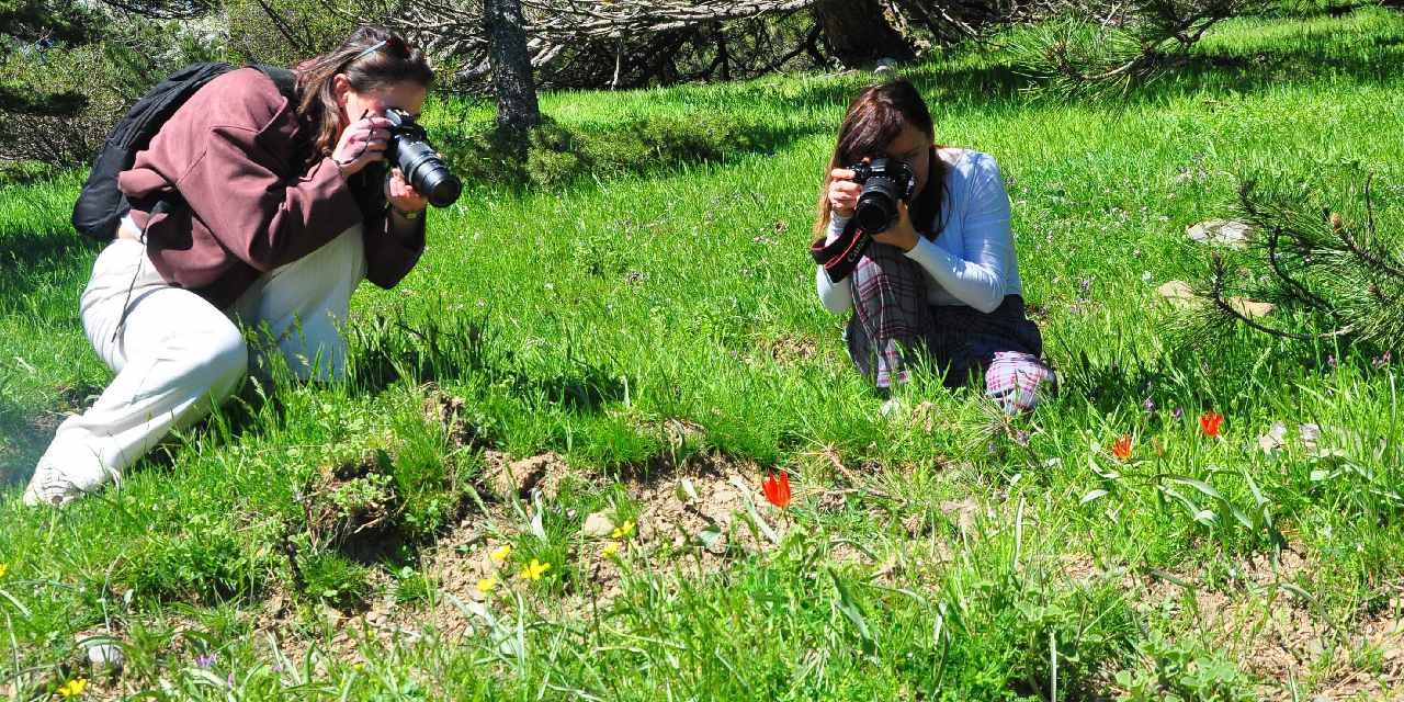 Senede bir defa açıyor! Koparmanın cezası belli oldu