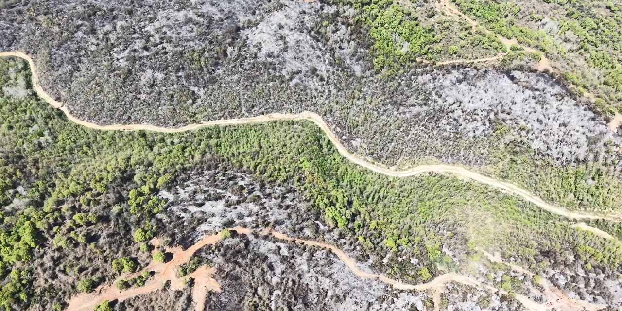 Beykoz'daki yangının arkasında bıraktığı hasar ortaya çıktı