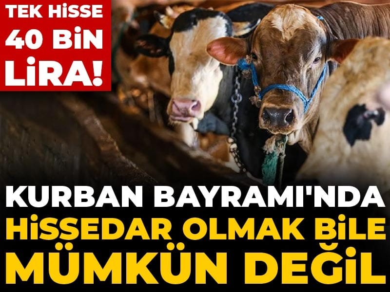Kurban Bayramı'nda hissedar olmak bile mümkün değil: Tek hisse 40 bin lira!