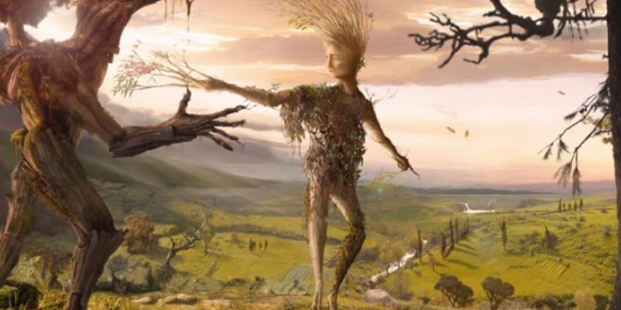 Doğa firarda! Bitkiler valizini topladı Kuzeydoğu’ya göç ediyor