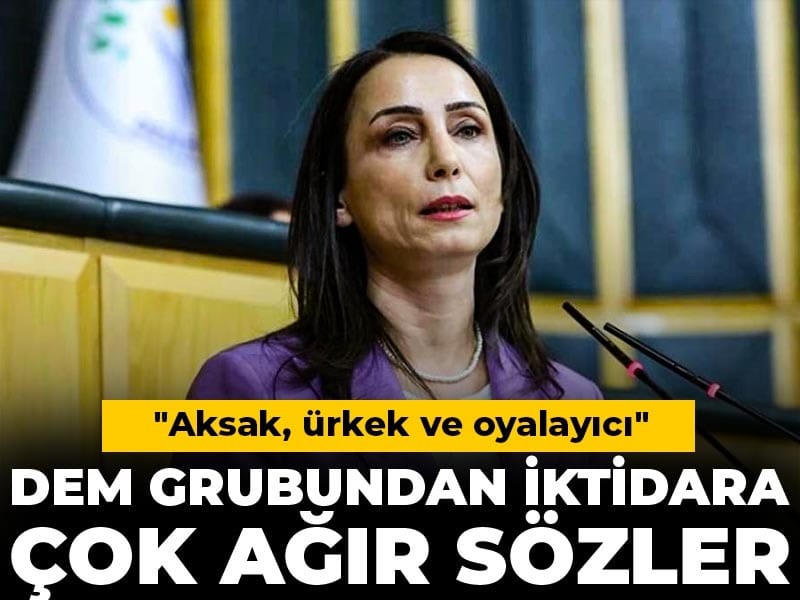 DEM grubundan iktidara çok ağır sözler: Aksak, ürkek ve oyalayıcı...