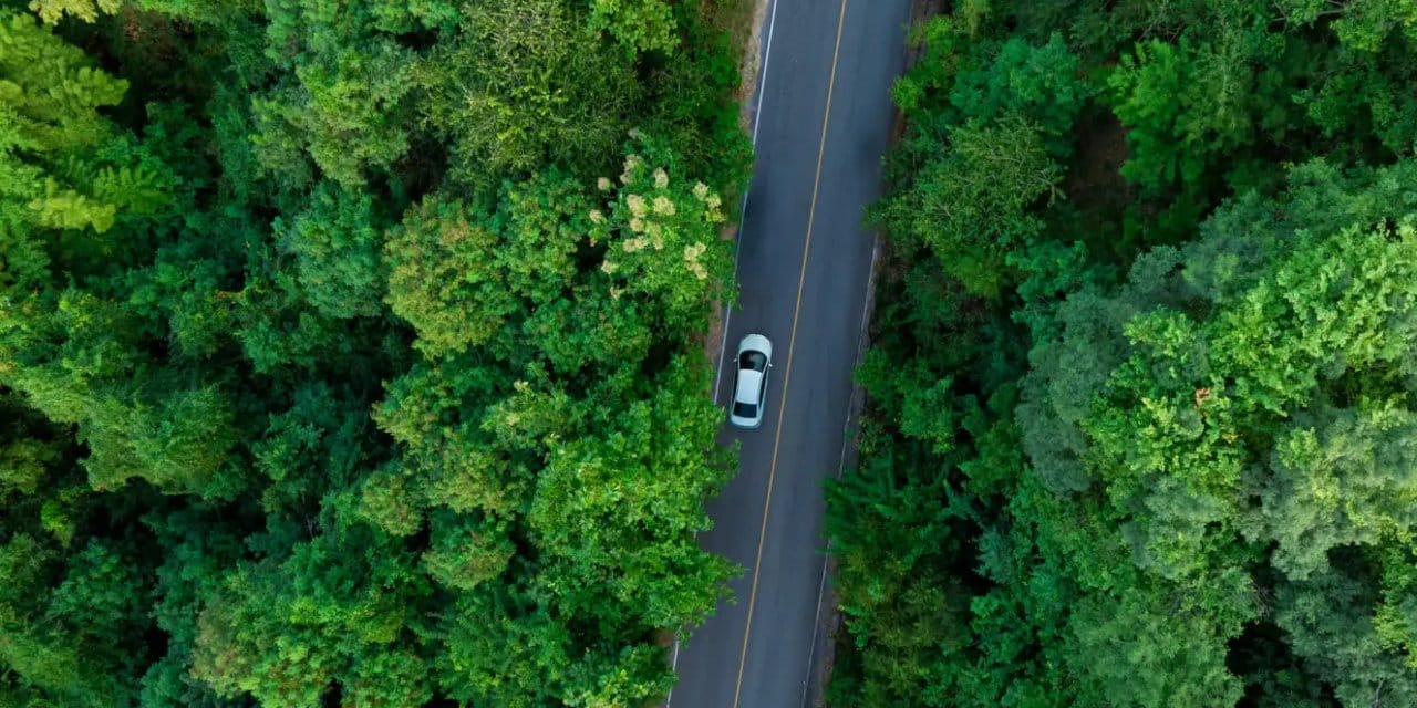 Benzinli araçların "azınlıkta" kaldığı tek ülke! Tesla’nın kalesi Çin’in yeni oyun alanı