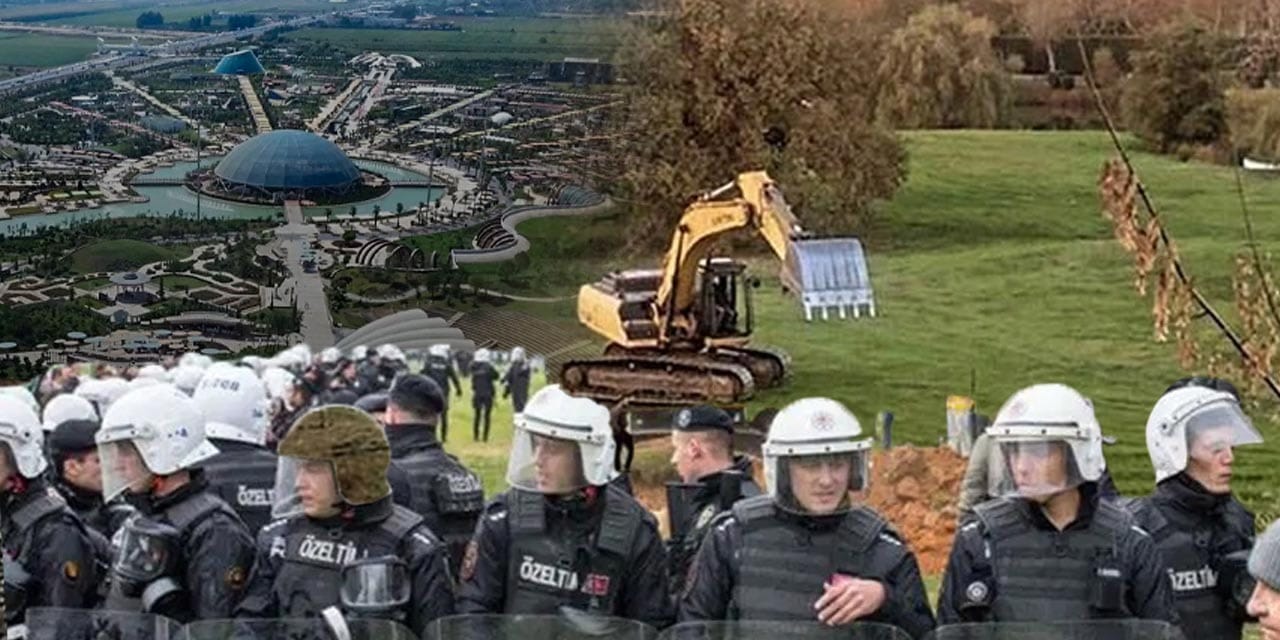 COP31 İklim Zirvesi için yapılan dev ihaleyi 'ağaç kıyımıyla' gündeme gelen şirket aldı!