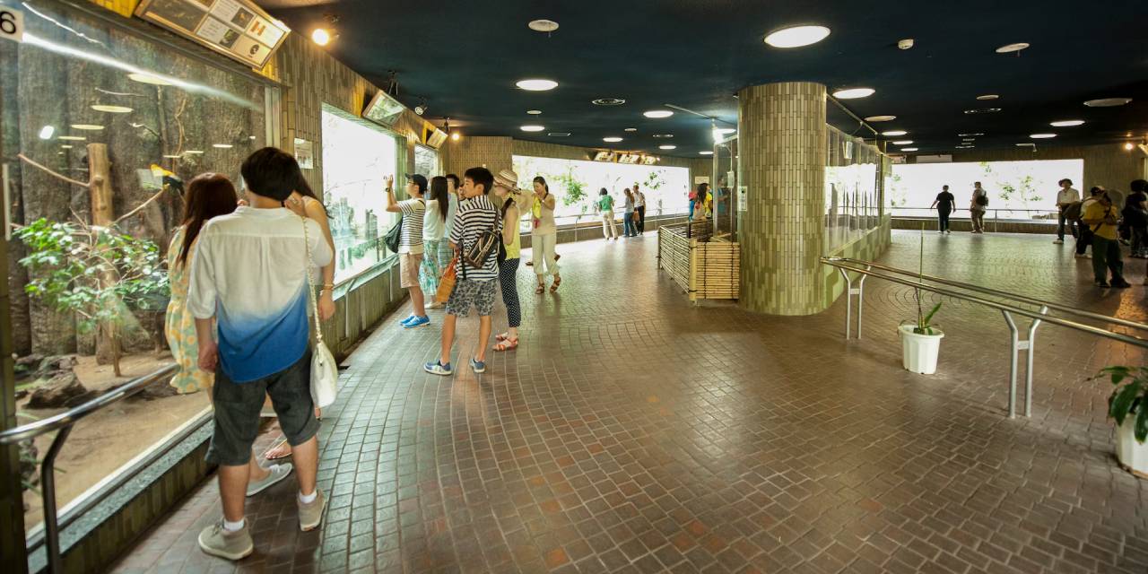 Hayvanat bahçesinde korkunç itiraf! Fırında yok ettiğini söyledi