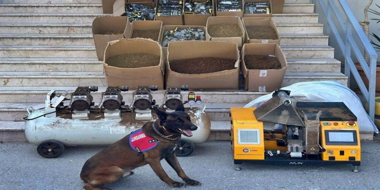 'Kaçak tütün' operasyonu! Binlerce makaron ele geçirildi
