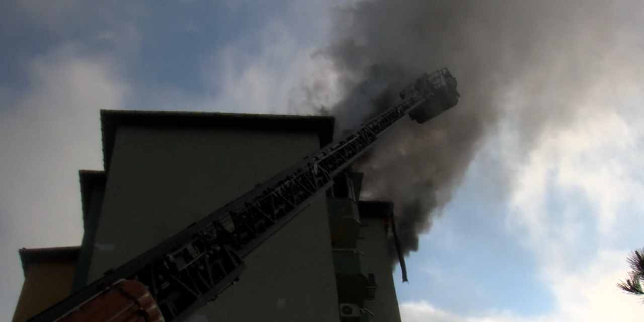 Engelli köpek yangında mahsur kaldı