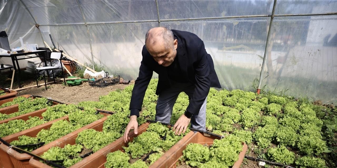 Denizden toplanan çöpten gübre yaptılar: Şimdi marul ve çilek üretiyorlar