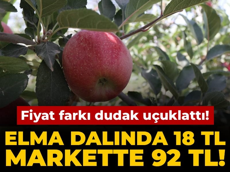 Bir elma dalında 18 TL markette 92 TL! Aradaki fark dudak uçuklattı