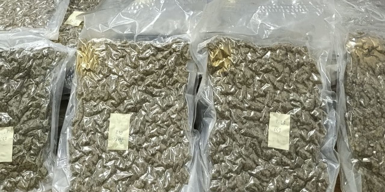 Karasu'da kumsala uyuşturucu vurdu