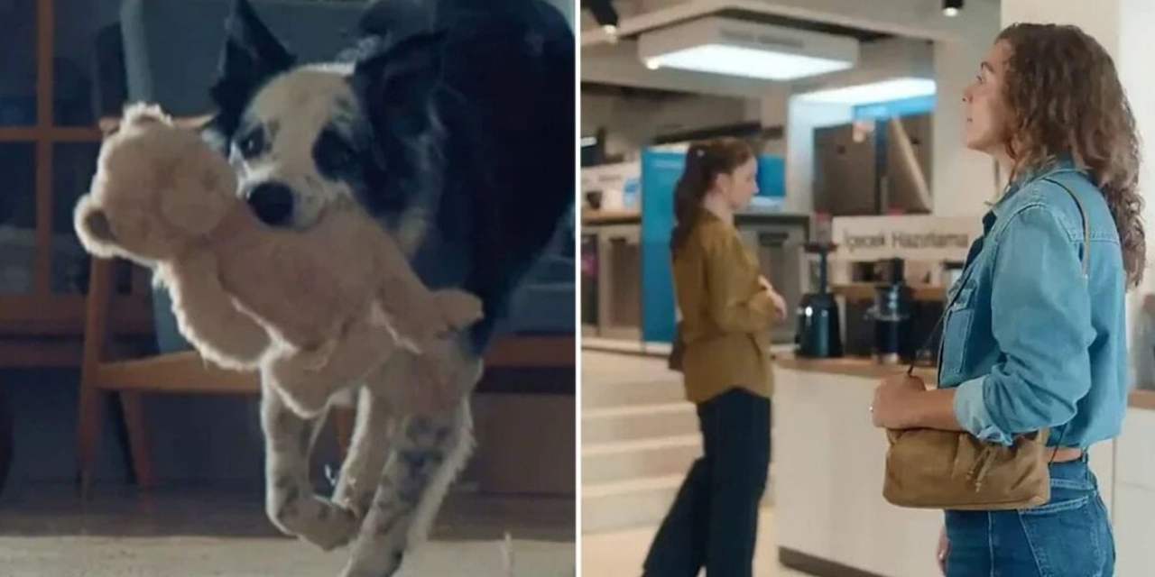 Evini kedi-köpekle paylaşanlara iktidar müdahalesi: Sizi o reklamın nesi rahatsız etti?