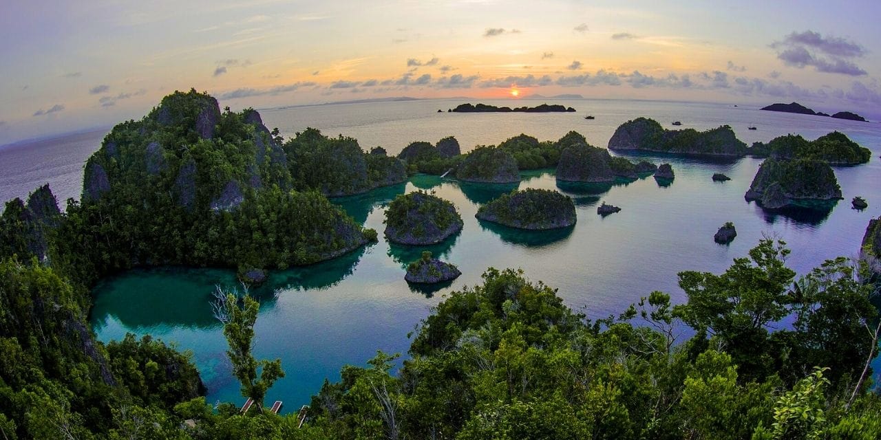 Yeryüzündeki son cennet parçası Raja Ampat'ta dünyanın en nadir bitki ve hayvan türleri yaşıyor