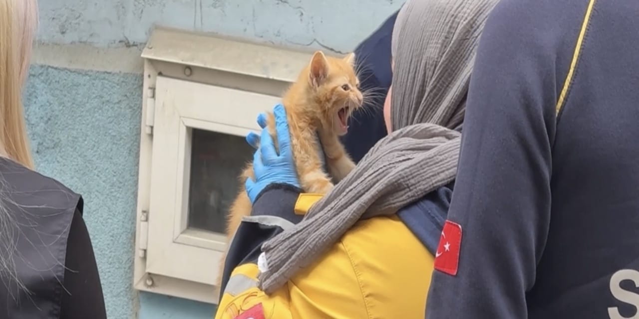 Kağıthane'de korkutan yangın! Dumanların arasından yavru kedi çıktı