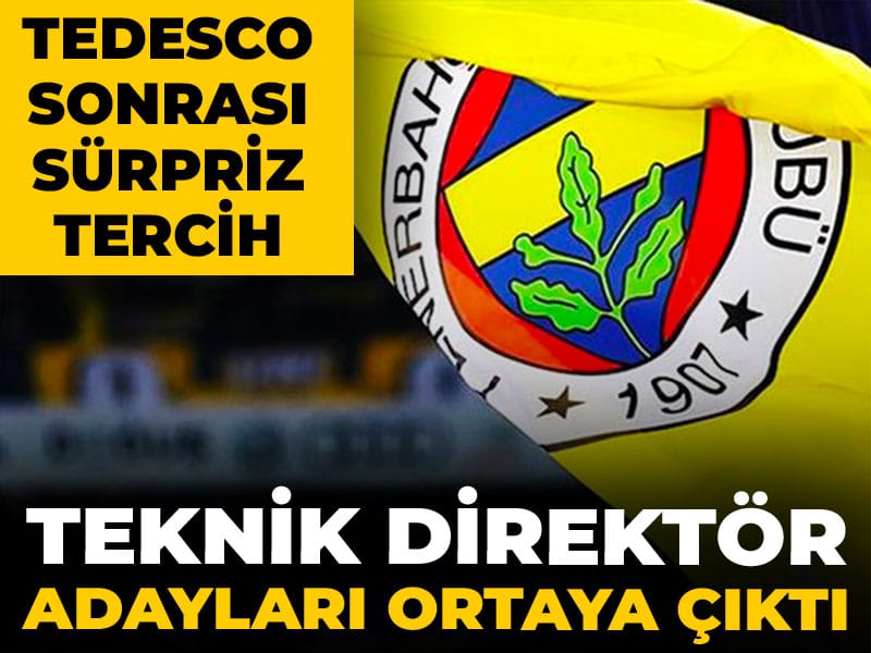 Fenerbahçe'de teknik direktör adayları ortaya çıktı