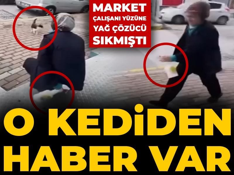 Market çalışanı yüzüne yağ çözücü sıkmıştı: O kediden haber var
