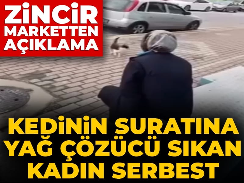 Kedinin suratına yağ çözücü sıkan kadın serbest: Zincir marketten açıklama