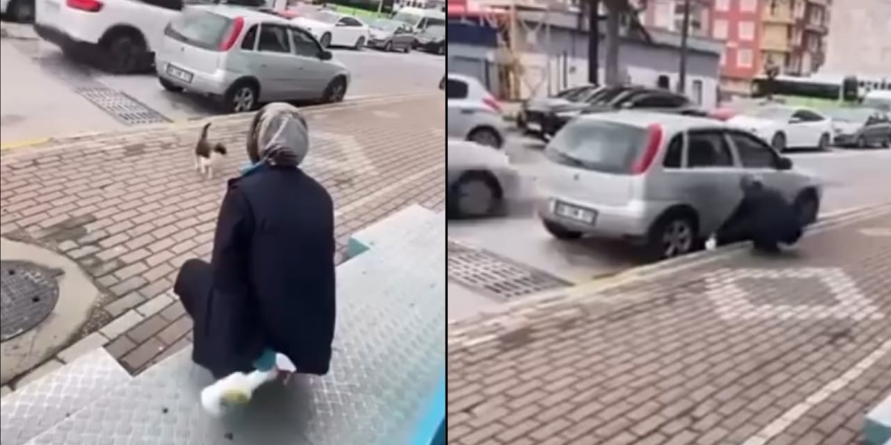 Kedinin suratına yağ çözücü sıkan kadın serbest: Zincir marketten açıklama