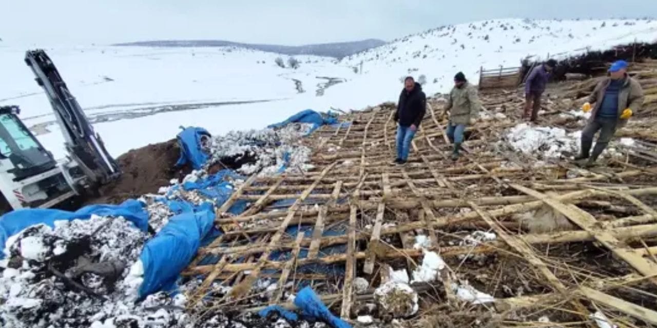 Afyon'da kar faciası: Ağıl çöktü, 6 Koyun öldü!