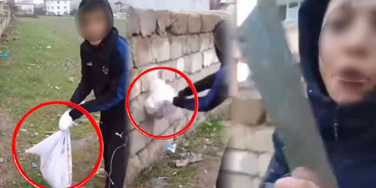 Bu çocuklara neler oluyor? Çuvaldaki kediyi duvara vurup satırla poz verdiler