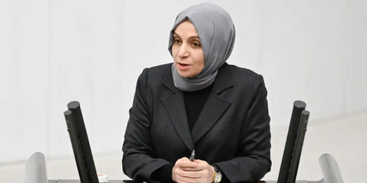 TBMM'de 'doğum oranı' tartışması! AKP'li Usta: Düşüşü sadece ekonomiye bağlamak sığ bir bakış açısı
