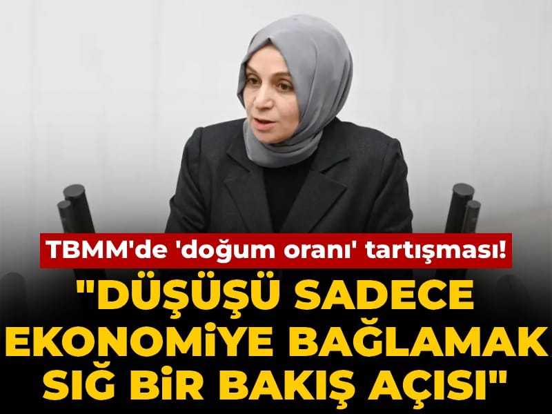 TBMM'de 'doğum oranı' tartışması! AKP'li Usta: Düşüşü sadece ekonomiye bağlamak sığ bir bakış açısı
