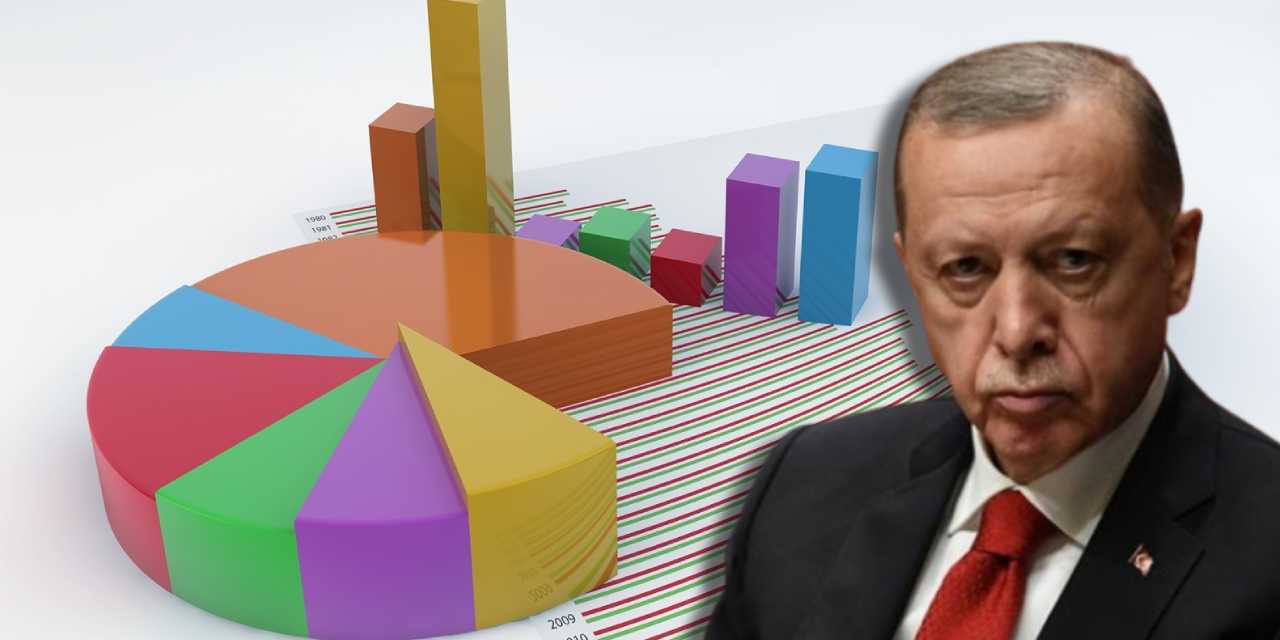 Erdoğan'ın görünce çileden çıkmayacağı anket yaptılar