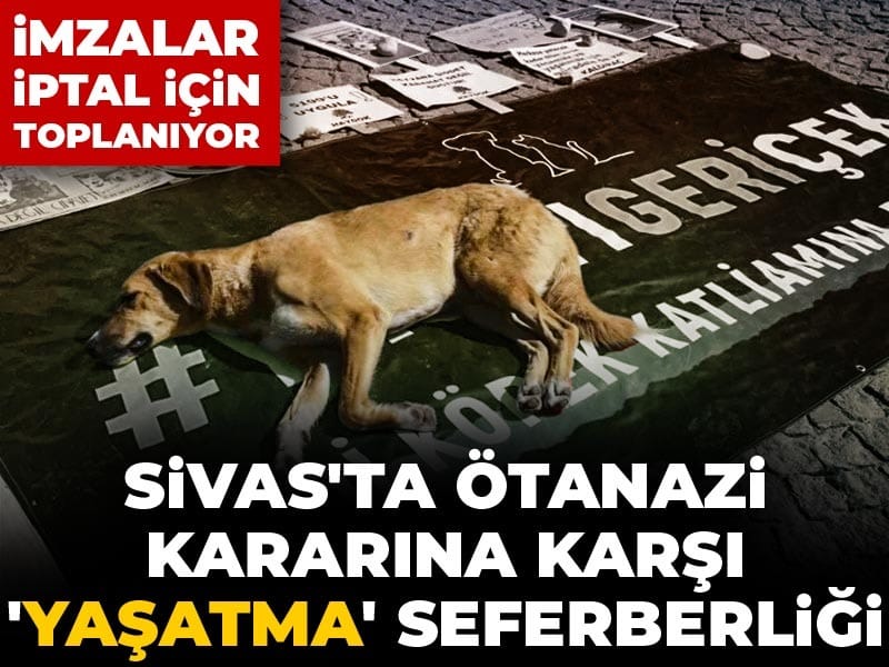 Sivas'ta ötanazi kararına karşı 'yaşatma' seferberliği: İmzalar iptal için toplanıyor